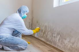 Best Crawl Space Mold Remediation  in Fort Valley, GA