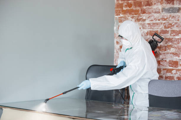 Forensic Mold Investigation in Fort Valley, GA