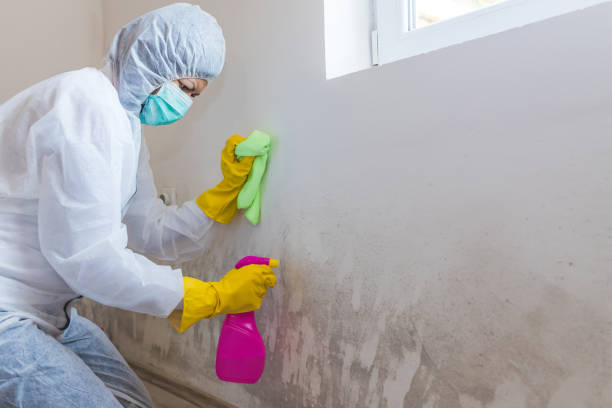 Best Commercial Mold Inspection  in Fort Valley, GA