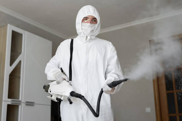 Best Basement Mold Removal  in Fort Valley, GA